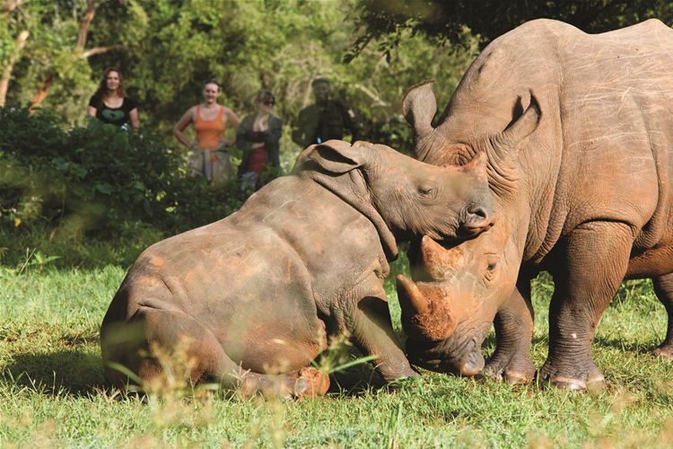 Rhino Sanctuary.jpg